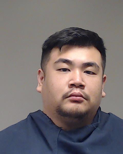 Luu, Johnson booking photo