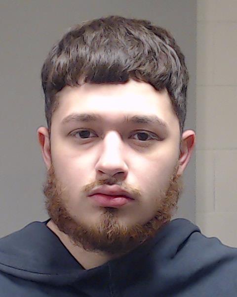 PINEDA, LUIS booking photo