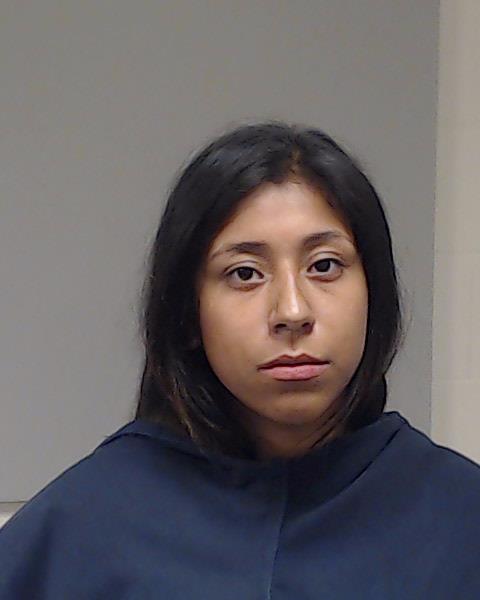Perez, Stacey booking photo