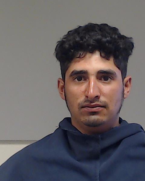 FLORES, JAVIER MEJIA booking photo