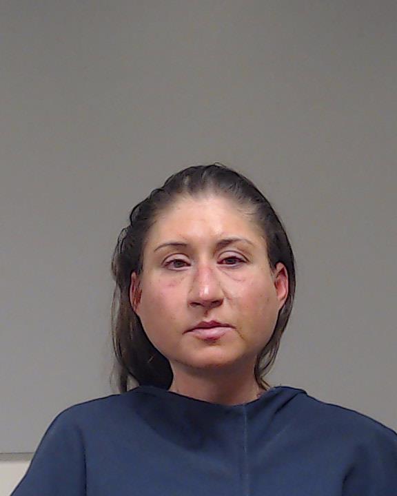Williamson, Leslie Ann arrested by Collin County SO/PD