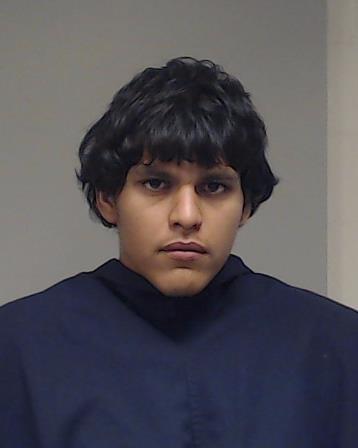 LUNA, ALEXIS ADRIAN arrested by Collin County SO/PD