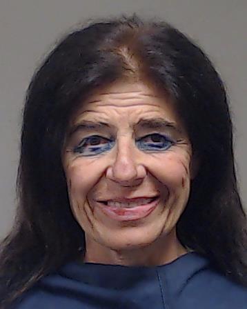 Krajinovic, Dijana booking photo