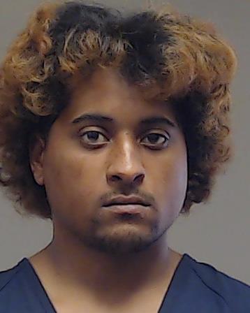 GOINS, GEORGE STACY booking photo