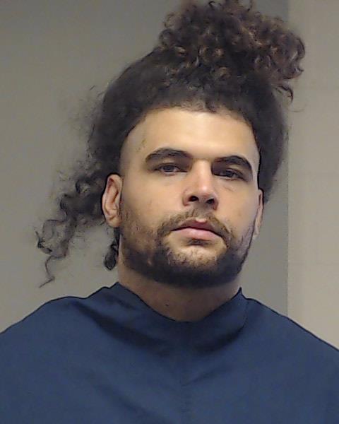 Williamson, Kelvin Lanard booking photo