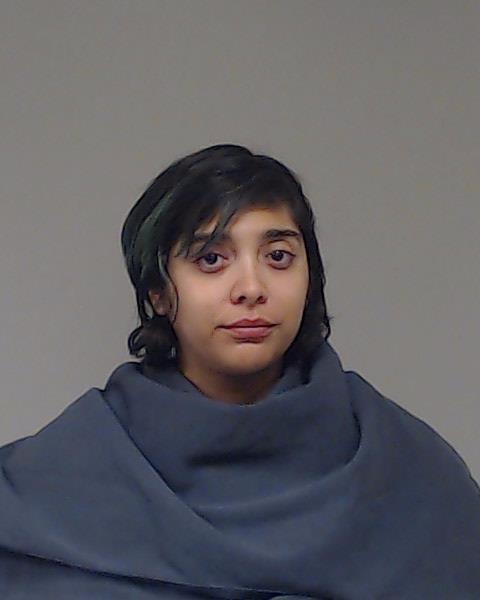 Sanchez, Melissa Alejandra arrested by Collin County SO/PD