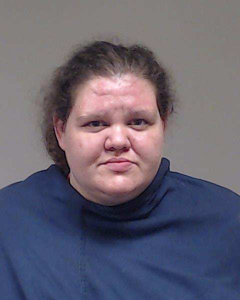 Honea, Meagan Nicole booking photo