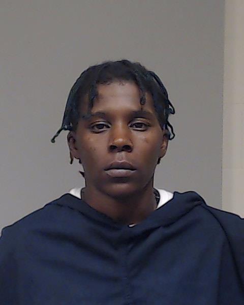 McGee, Ashley Nicole booking photo