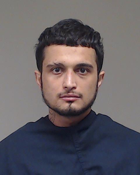 Abbaspour, Shayan booking photo