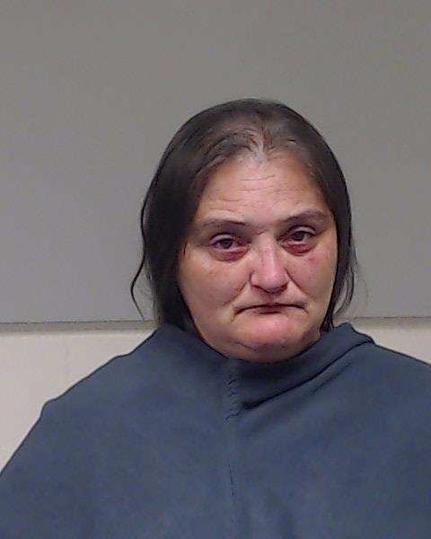 Ajenifuja, Mitzi Lynn booking photo