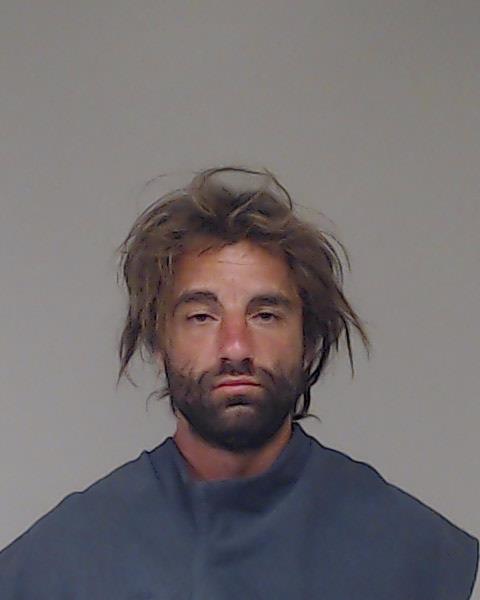 Pucci, Andrei Francis booking photo