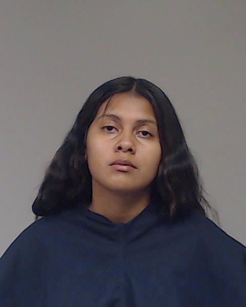 Ulloa, Domenika booking photo