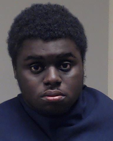 Johnson, Dayshamien Javon booking photo