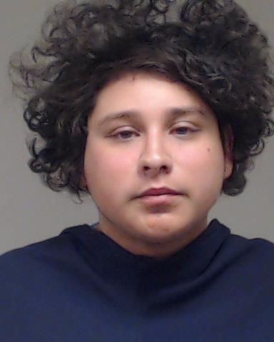 CHAVEZ-MARTINEZ, COSME ANTONIO booking photo