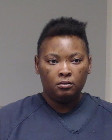 Bizor, Chiquita Monique booking photo