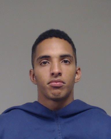 Valdes-Fajardo, Dreyansi booking photo