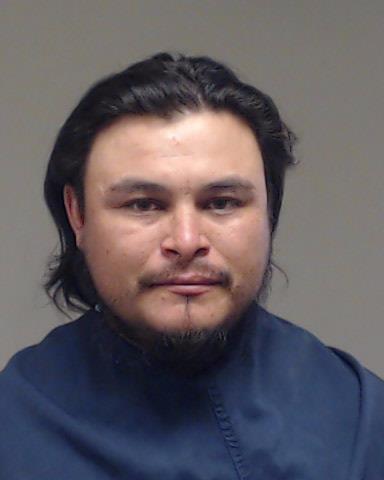 Milan, Roeri booking photo