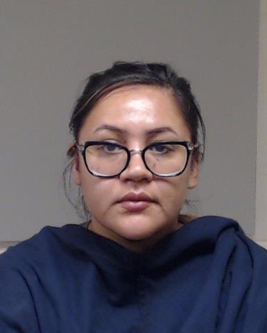 Ponce, Ana Gabriel booking photo