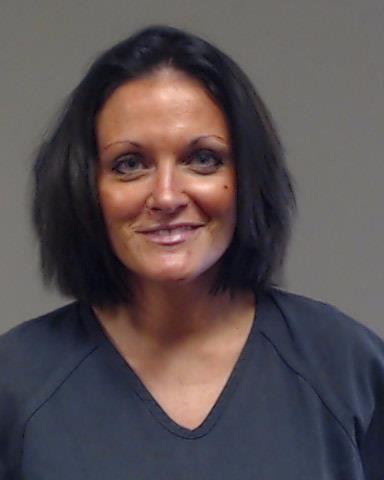 Micheletto, Jill Ann booking photo