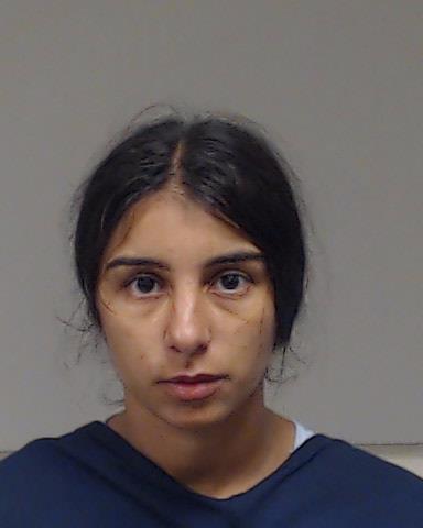 Chiciu, Anna Maria arrested by Collin County SO/PD