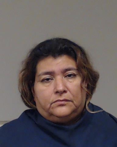 GALLEGOS, ROSA TERRONES booking photo