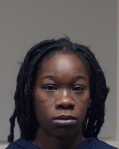 Young, Sylvia arrested by Collin County SO/PD