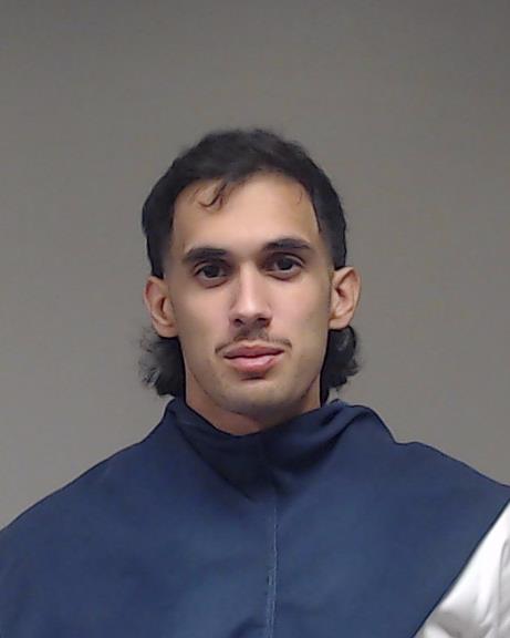 Multani, Michael Ameer booking photo