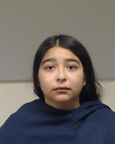 Ramirez, Cecilia booking photo