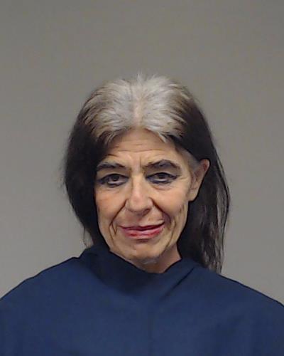 Krajinovic, Dijana booking photo