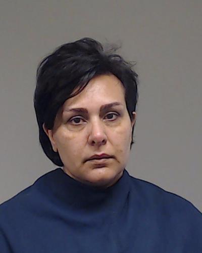 Karbasi Najafabadi, Mehrnoosh booking photo