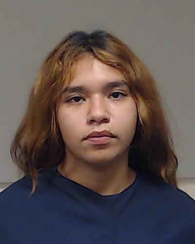 Guillen, Fabiola Aydeee booking photo