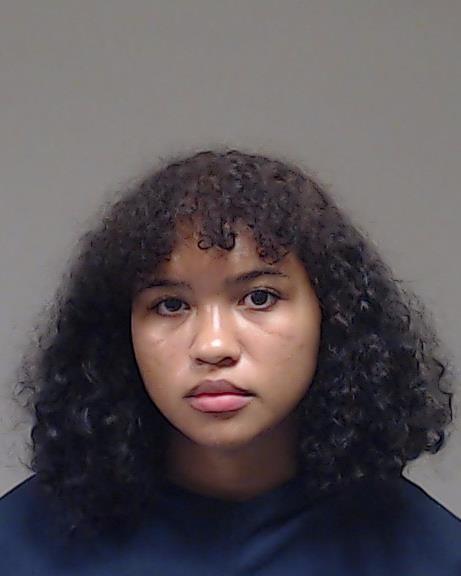 Johnson, Ellen Nicole booking photo