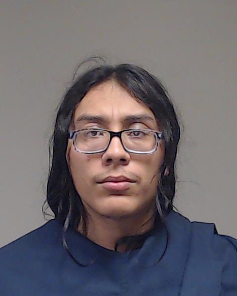 TORRES, LUIS FERNANDO booking photo