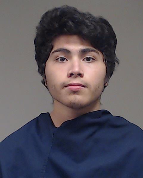 Alexandro, Harley Max booking photo