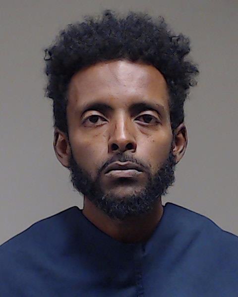 GEBREYEOUS, ROBEL TECLE booking photo