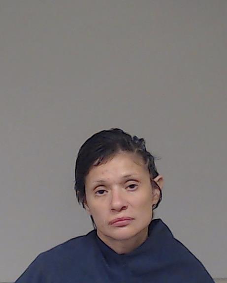 Ramirez, Monica Cruz booking photo