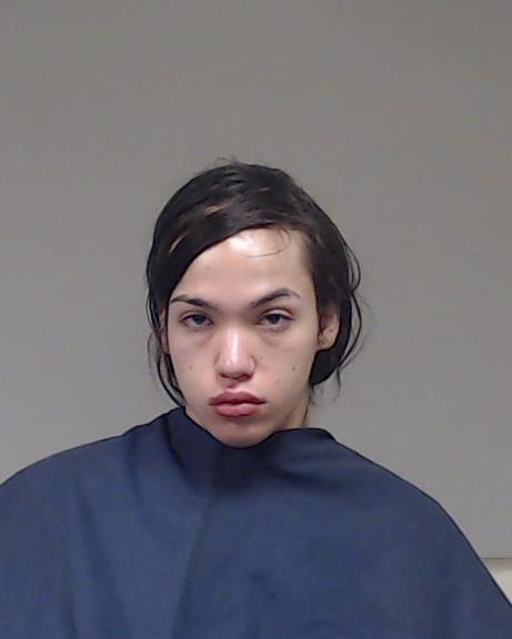 PHAL, MAXIMILIAN INGO booking photo