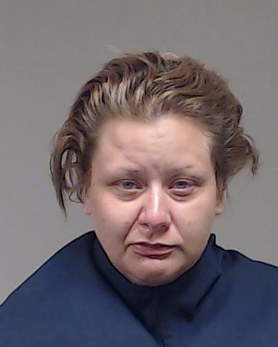 Johnson, Michelle Diane arrested by Plano Police Department