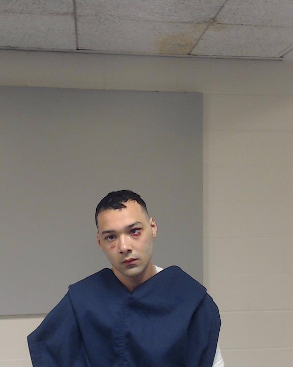 Robinson, Devin Michael arrested by Plano Police Department