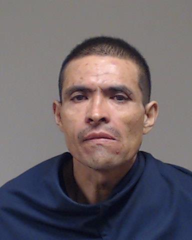 REYNA, DELFINO booking photo