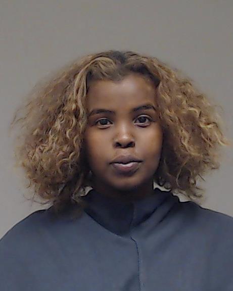 Ismail, Saud Ahmedei arrested by Plano Police Department