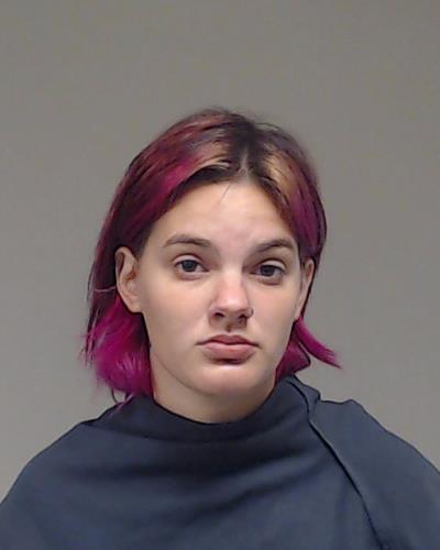 Dimarzio, Andrielle Nicole arrested by Melissa Police Department