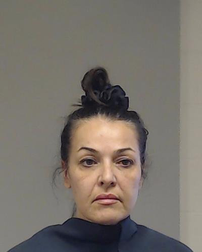 Toloui, Fatemeh Samadabadi arrested by Collin County Sheriff’s Office