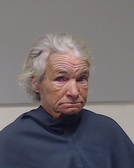 Martin, Janet Eileen arrested by Plano Police Department