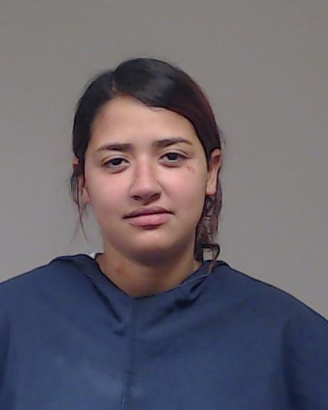 Rodriguez, Luisa Angelica arrested by Anna Police Department