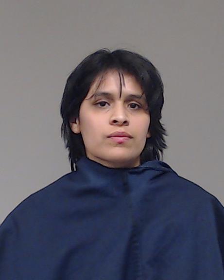 HERNANDEZ-MARTINEZ, ZUYUNAIKY arrested by Allen Police Department