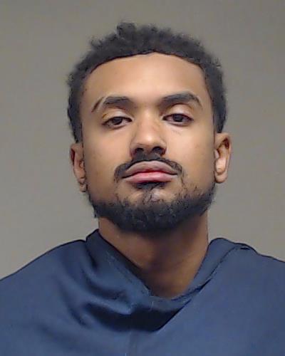 Schlesinger, Julian booking photo