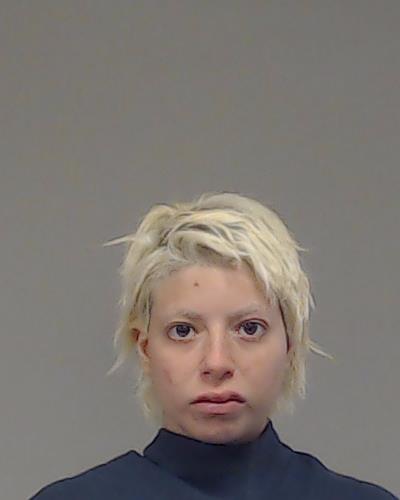 Davodi, Zhaleh arrested by Collin County SO/PD