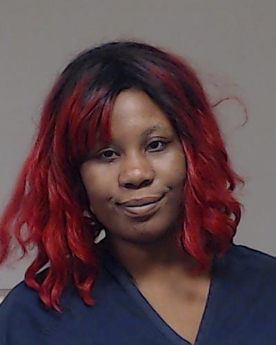 Olufemi, Ayomide Deborah arrested by Collin County SO/PD