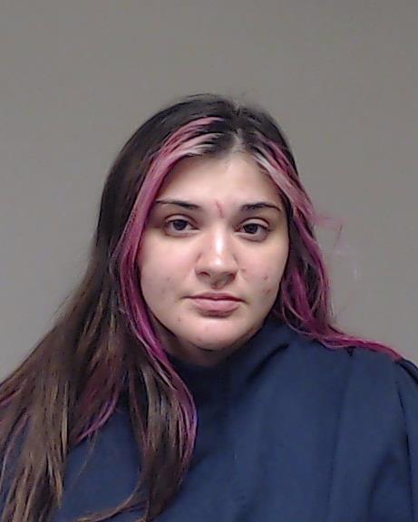 Laseak, Julia Reilly arrested by Collin County SO/PD